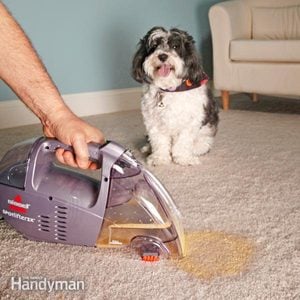 Carpet Cleaning Tips for Pet Owners