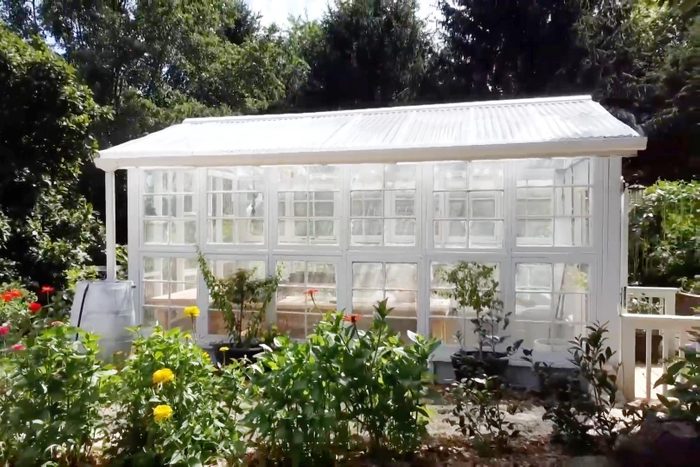 A greenhouse in a residential setting surrounded by greenery