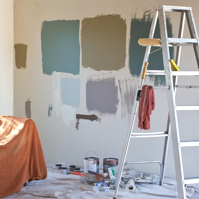 Paint samples painting a room